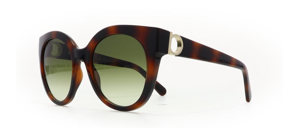 Image of Salvatore Ferragamo Eyewear Frames