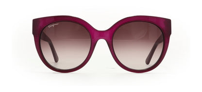 Image of Salvatore Ferragamo Eyewear Frames