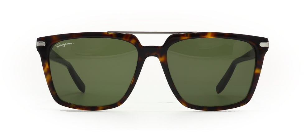 Image of Salvatore Ferragamo Eyewear Frames