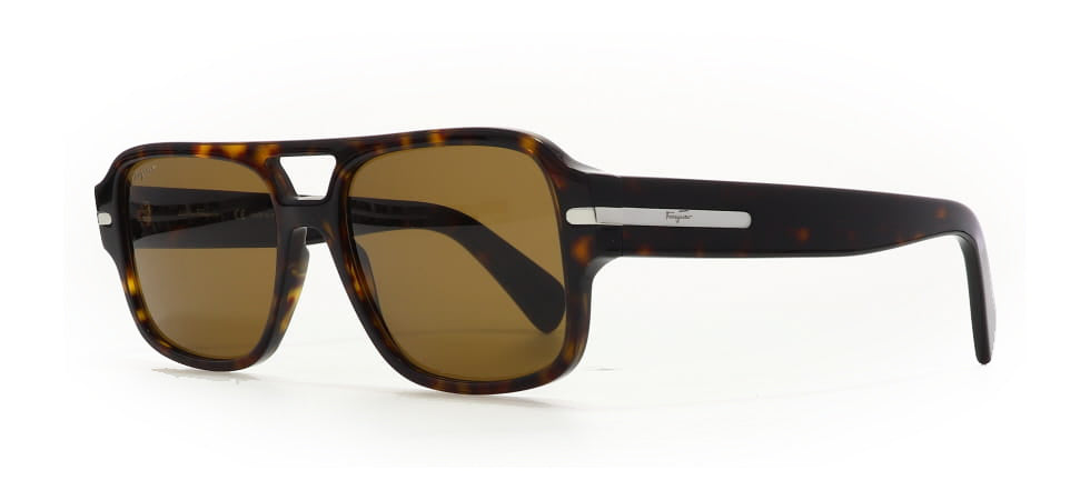 Image of Salvatore Ferragamo Eyewear Frames