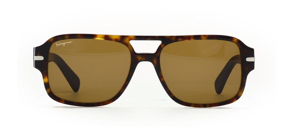 Image of Salvatore Ferragamo Eyewear Frames