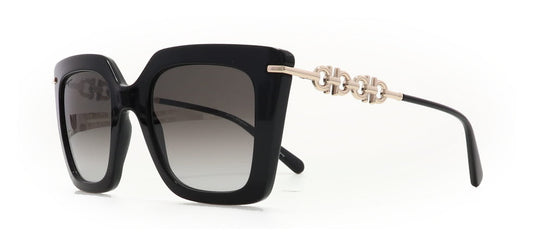 Image of Salvatore Ferragamo Eyewear Frames