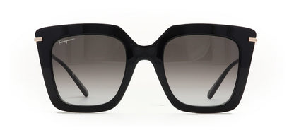 Image of Salvatore Ferragamo Eyewear Frames