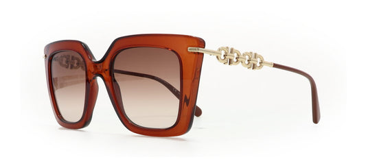 Image of Salvatore Ferragamo Eyewear Frames