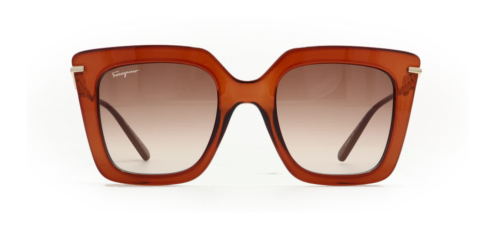 Image of Salvatore Ferragamo Eyewear Frames