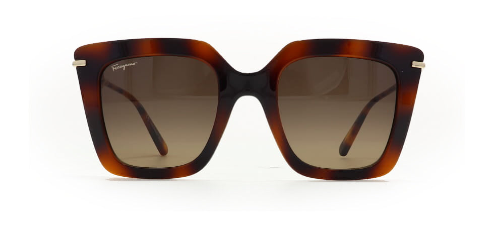 Image of Salvatore Ferragamo Eyewear Frames