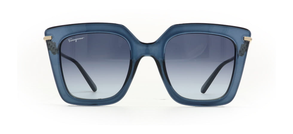 Image of Salvatore Ferragamo Eyewear Frames