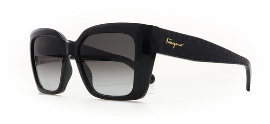 Image of Salvatore Ferragamo Eyewear Frames