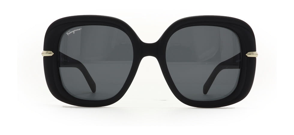Image of Salvatore Ferragamo Eyewear Frames