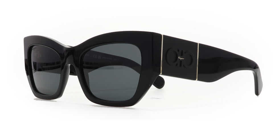 Image of Salvatore Ferragamo Eyewear Frames