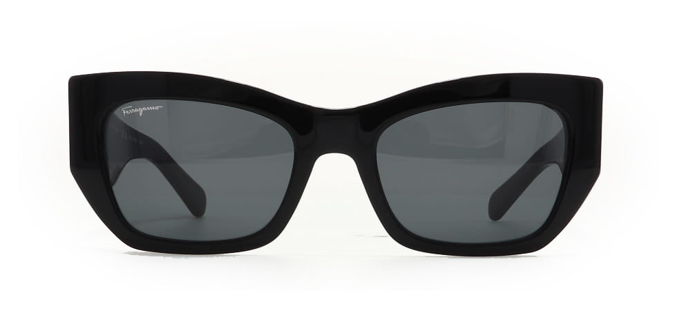 Image of Salvatore Ferragamo Eyewear Frames