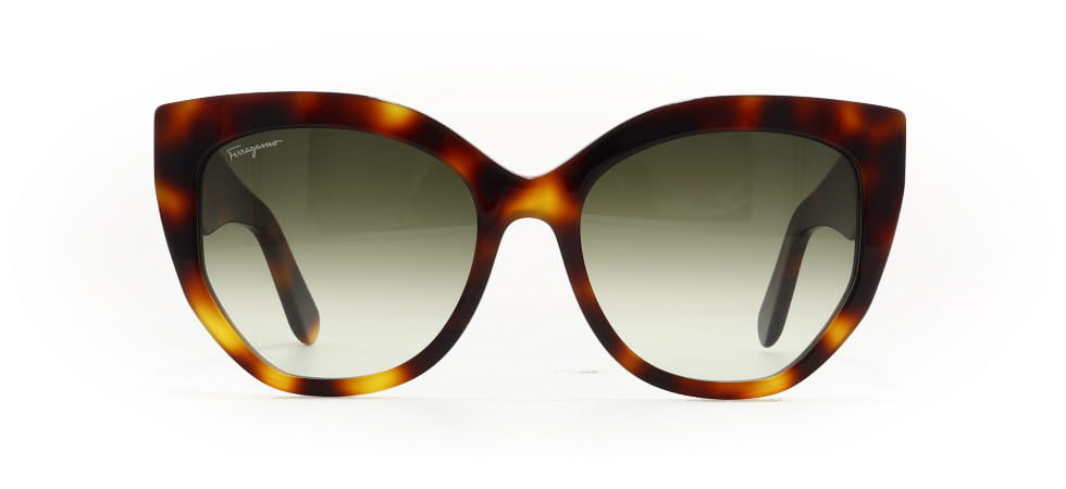 Image of Salvatore Ferragamo Eyewear Frames