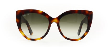 Image of Salvatore Ferragamo Eyewear Frames