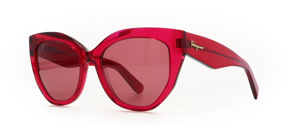 Image of Salvatore Ferragamo Eyewear Frames