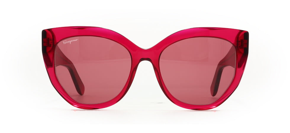 Image of Salvatore Ferragamo Eyewear Frames