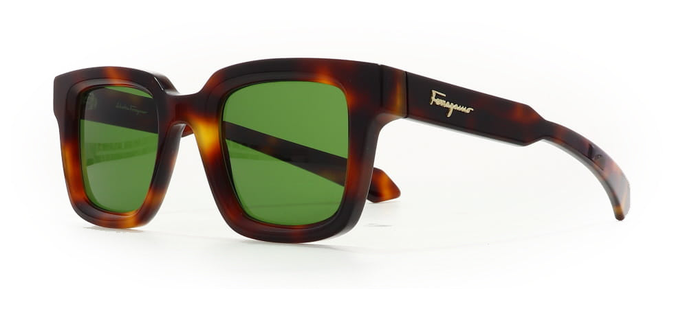 Image of Salvatore Ferragamo Eyewear Frames