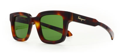 Image of Salvatore Ferragamo Eyewear Frames