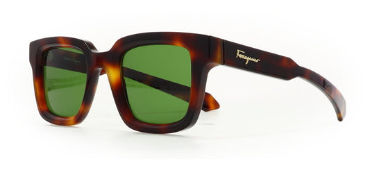 Image of Salvatore Ferragamo Eyewear Frames