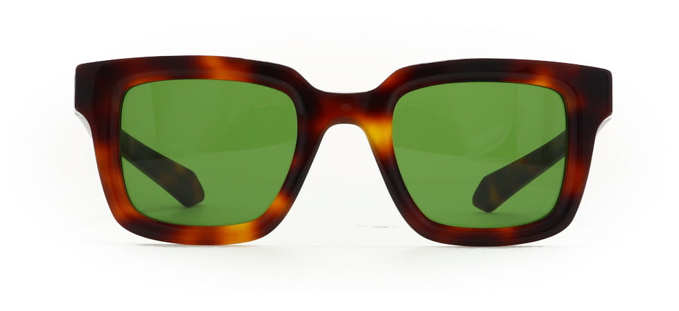Image of Salvatore Ferragamo Eyewear Frames