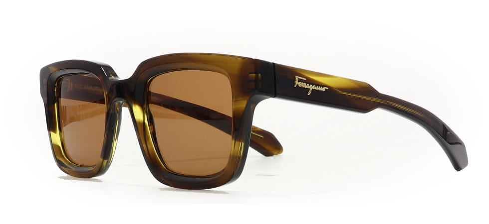 Image of Salvatore Ferragamo Eyewear Frames