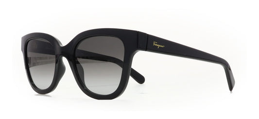 Image of Salvatore Ferragamo Eyewear Frames