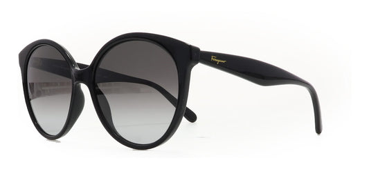 Image of Salvatore Ferragamo Eyewear Frames