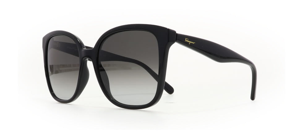 Image of Salvatore Ferragamo Eyewear Frames