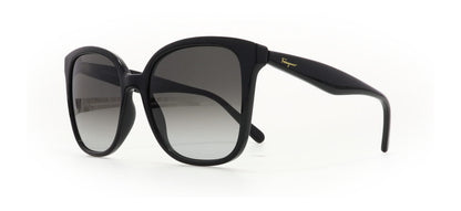 Image of Salvatore Ferragamo Eyewear Frames