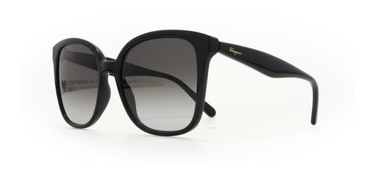 Image of Salvatore Ferragamo Eyewear Frames