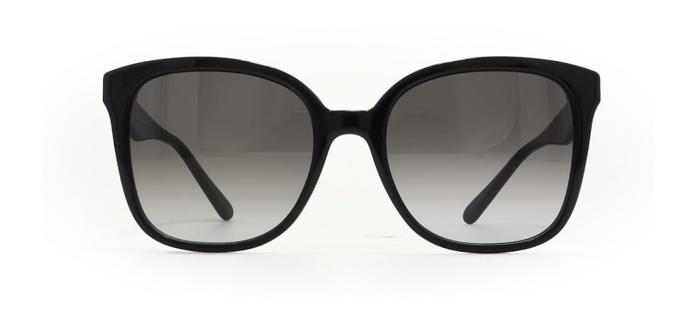 Image of Salvatore Ferragamo Eyewear Frames