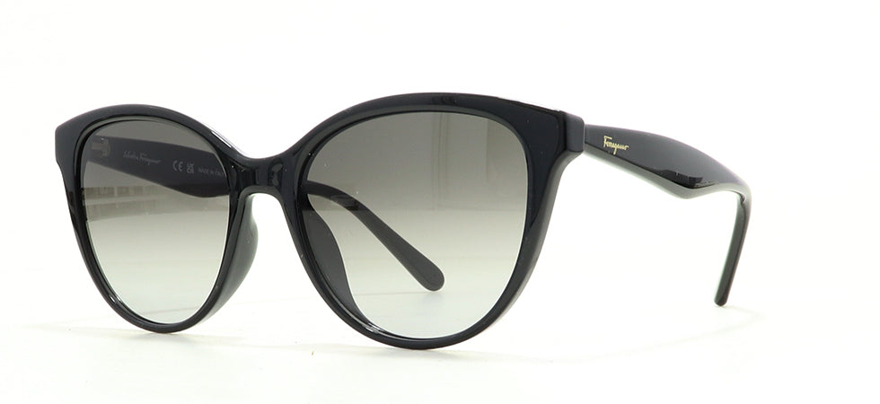 Image of Salvatore Ferragamo Eyewear Frames