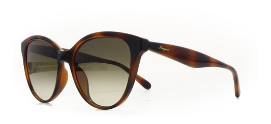 Image of Salvatore Ferragamo Eyewear Frames