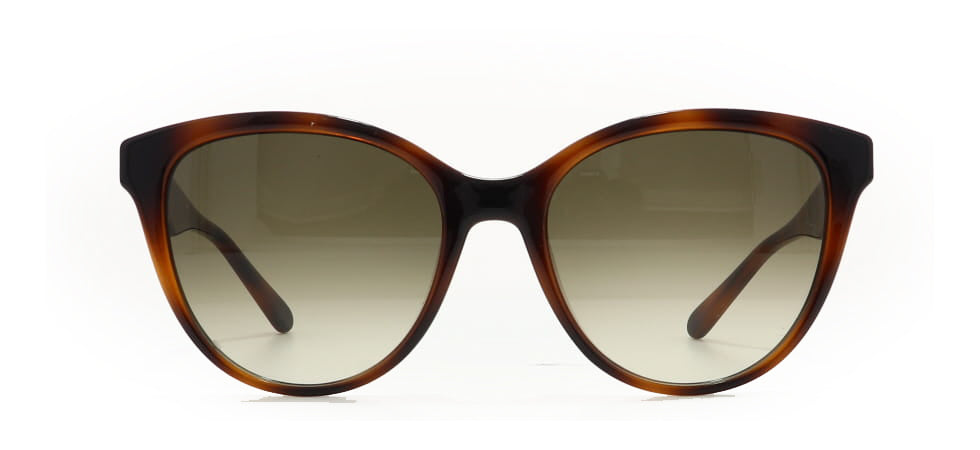 Image of Salvatore Ferragamo Eyewear Frames