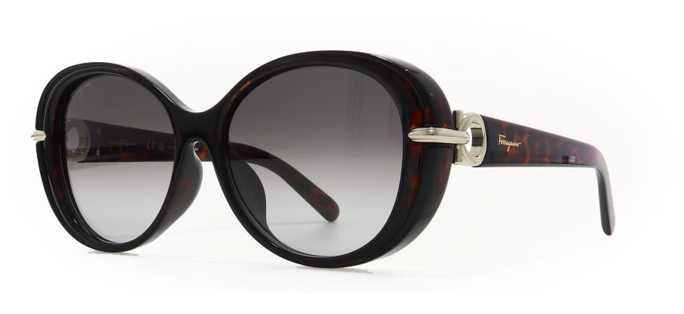 Image of Salvatore Ferragamo Eyewear Frames