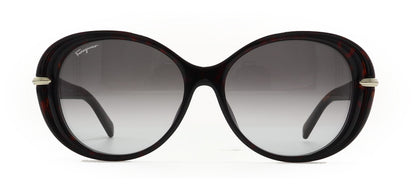 Image of Salvatore Ferragamo Eyewear Frames