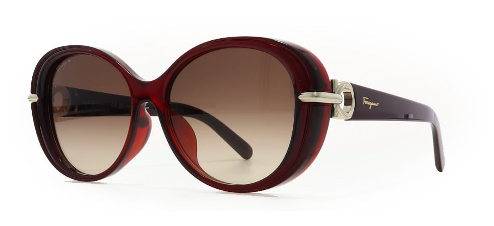 Image of Salvatore Ferragamo Eyewear Frames