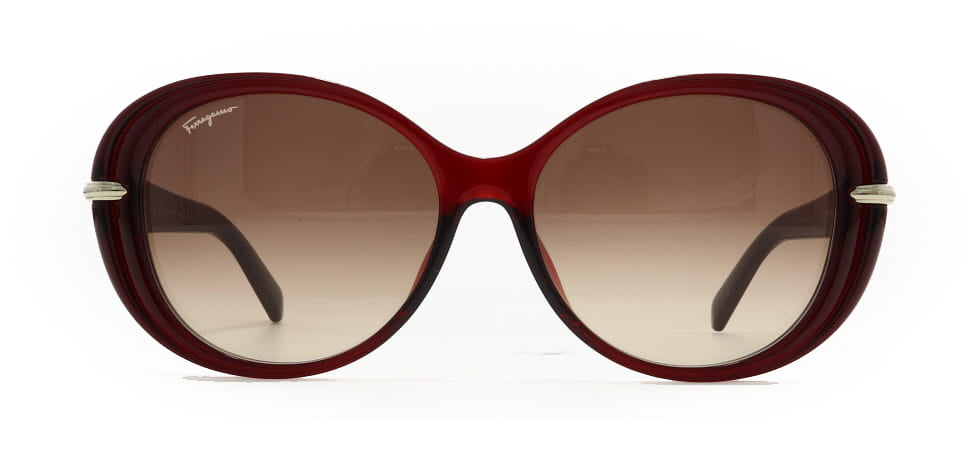 Image of Salvatore Ferragamo Eyewear Frames