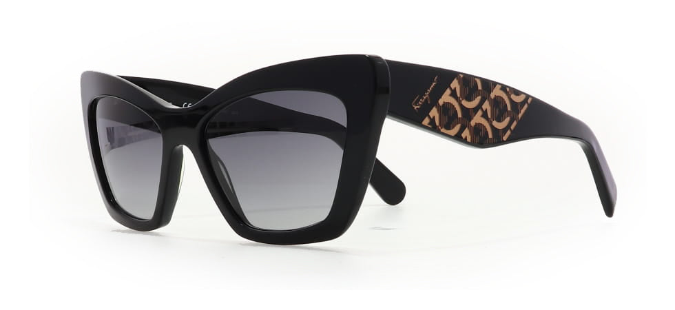 Image of Salvatore Ferragamo Eyewear Frames