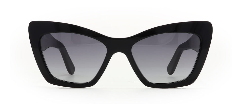 Image of Salvatore Ferragamo Eyewear Frames