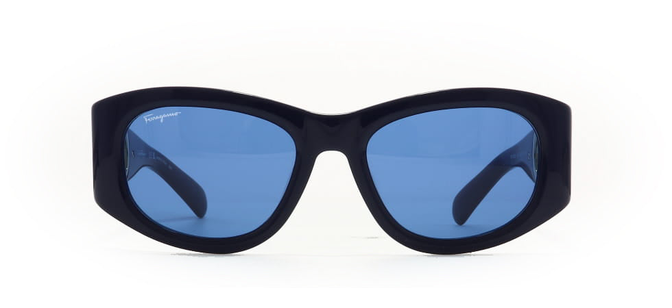 Image of Salvatore Ferragamo Eyewear Frames