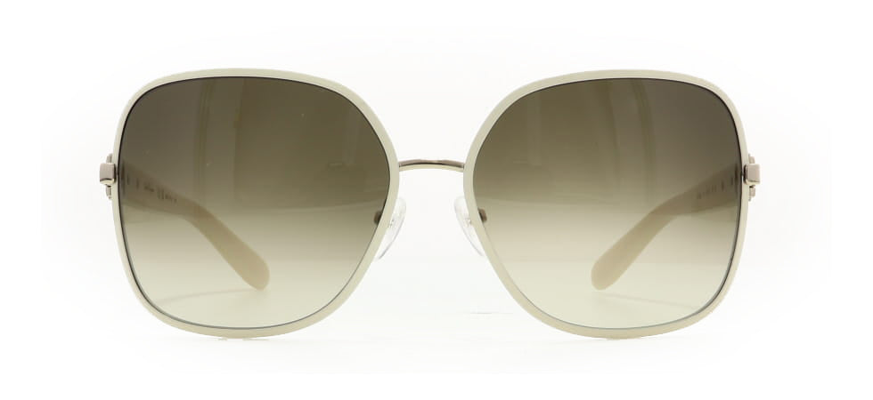 Image of Salvatore Ferragamo Eyewear Frames