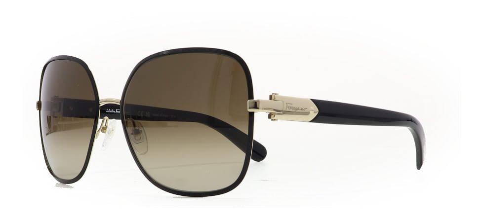 Image of Salvatore Ferragamo Eyewear Frames