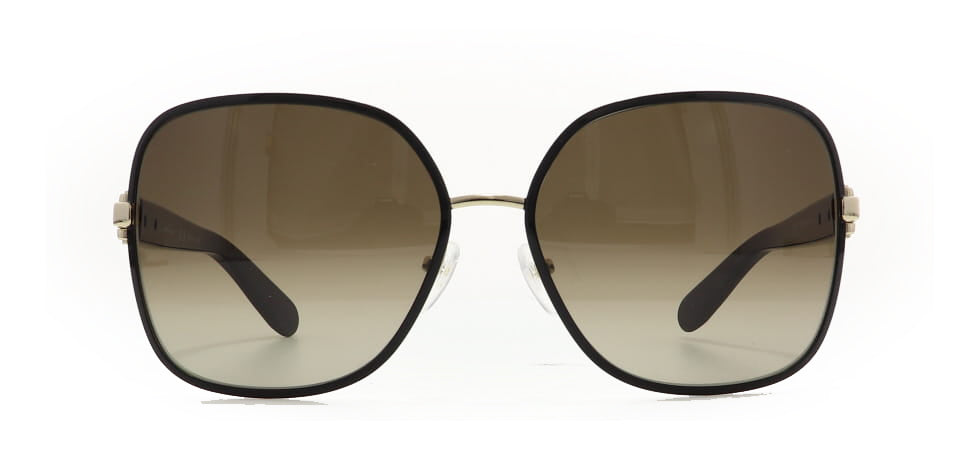 Image of Salvatore Ferragamo Eyewear Frames