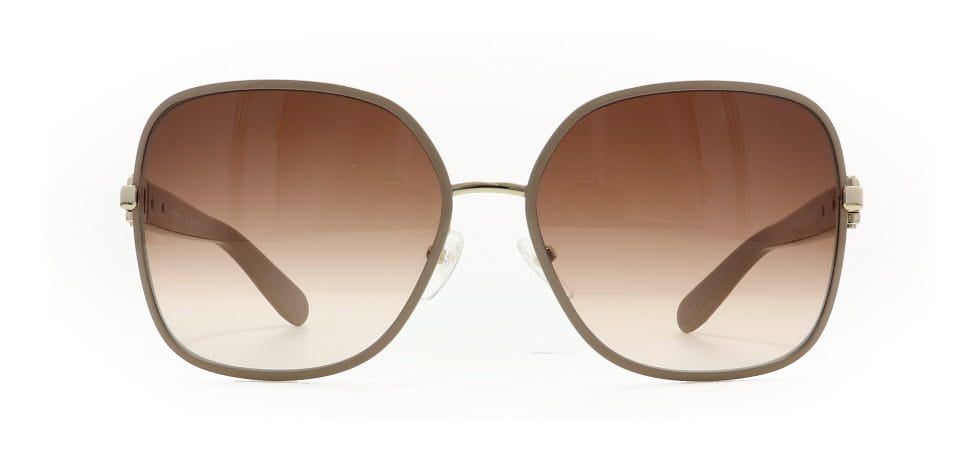 Image of Salvatore Ferragamo Eyewear Frames