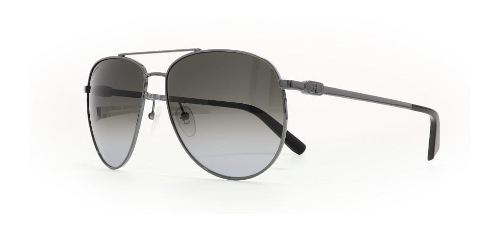 Image of Salvatore Ferragamo Eyewear Frames