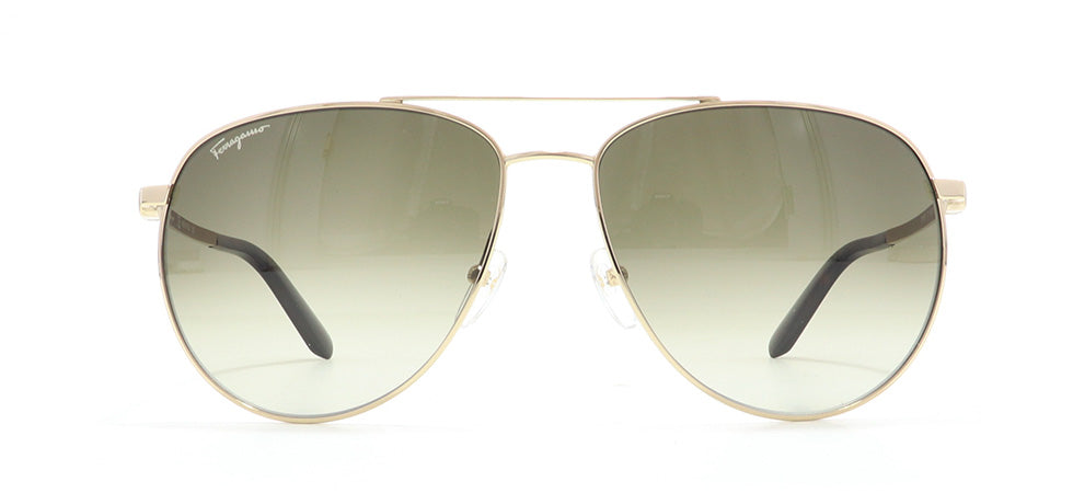 Image of Salvatore Ferragamo Eyewear Frames