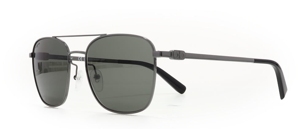 Image of Salvatore Ferragamo Eyewear Frames