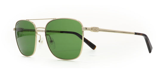 Image of Salvatore Ferragamo Eyewear Frames