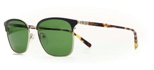 Image of Salvatore Ferragamo Eyewear Frames
