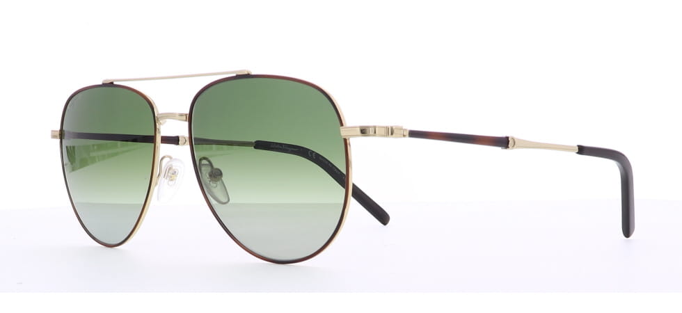 Image of Salvatore Ferragamo Eyewear Frames